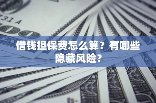 武汉借钱担保费怎么算？有哪些隐藏风险？
