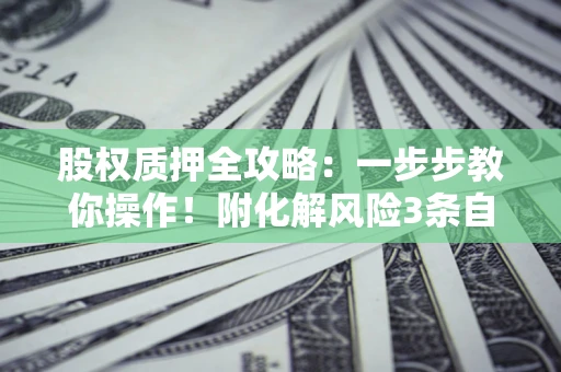 武汉股权质押全攻略：一步步教你操作！附化解风险3条自救法则