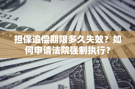 武汉担保追偿期限多久失效？如何申请法院强制执行？