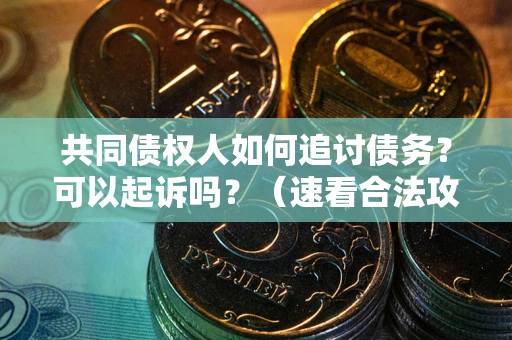 武汉共同债权人如何追讨债务？可以起诉吗？（速看合法攻略）