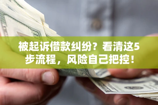 武汉被起诉借款纠纷？看清这5步流程，风险自己把控！
