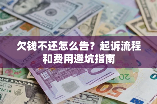 武汉欠钱不还怎么告？起诉流程和费用避坑指南